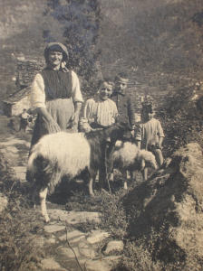 Donna con bambini al pascolo , con capra e pecora
